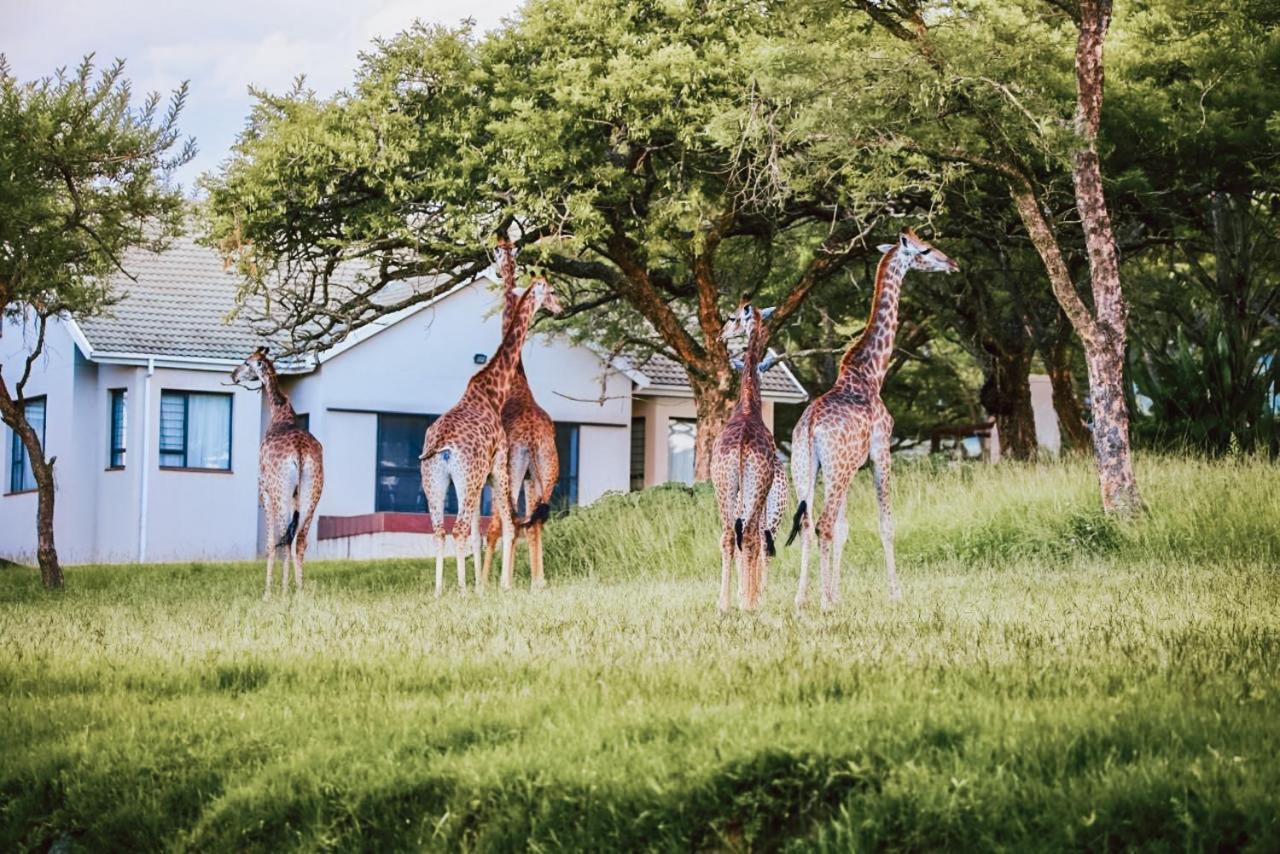 Idube Guest House ウィンタートン エクステリア 写真